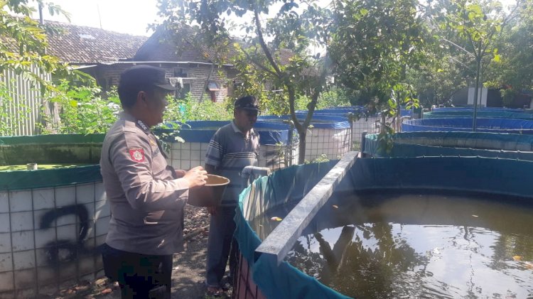 Tinjau Upaya Warga Budidaya Perikanan, Bhabinkamtibmas Berharap Ketahanan Pangan Optimal